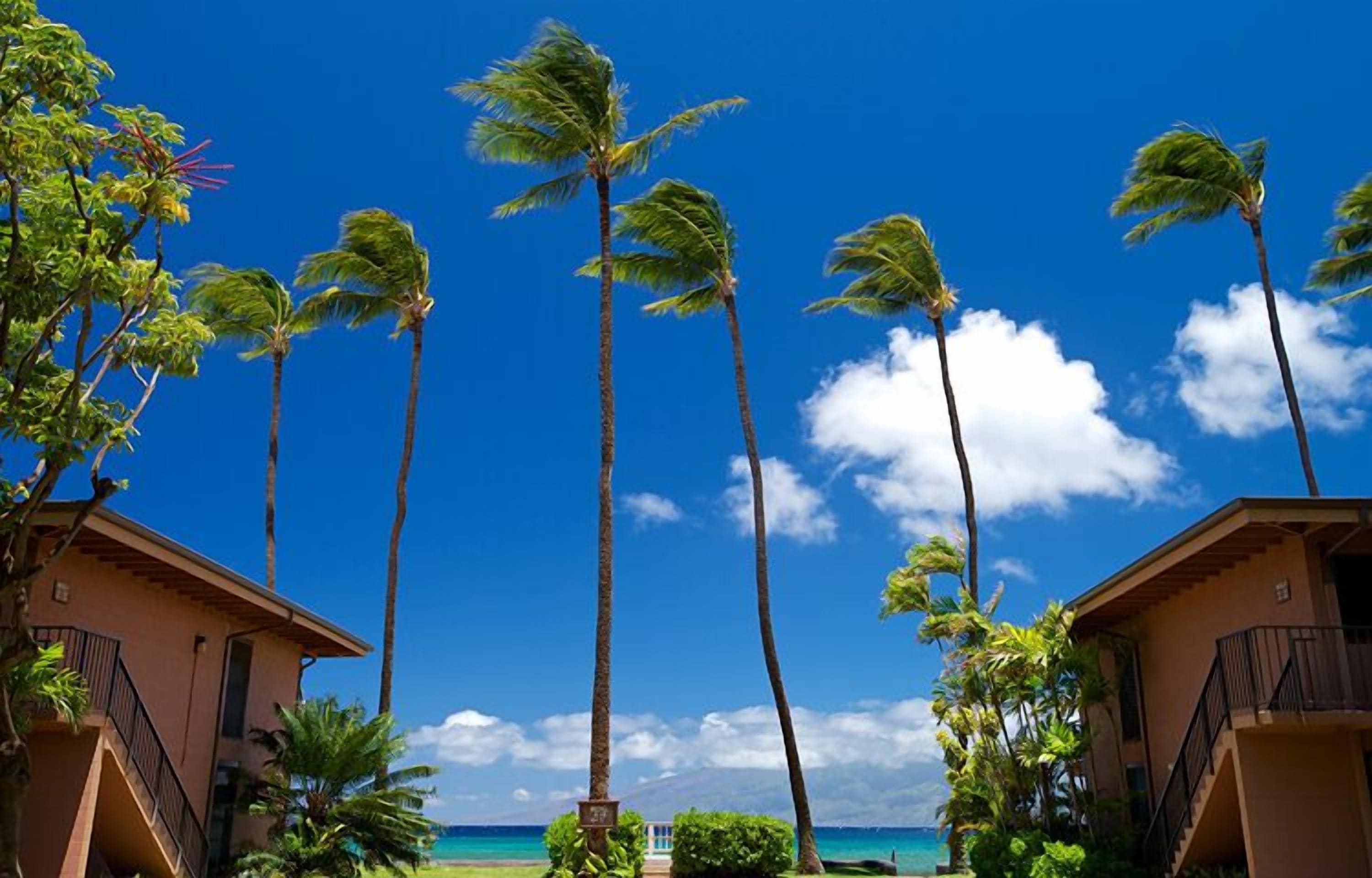 公寓客房, 1 間臥室 | 外觀