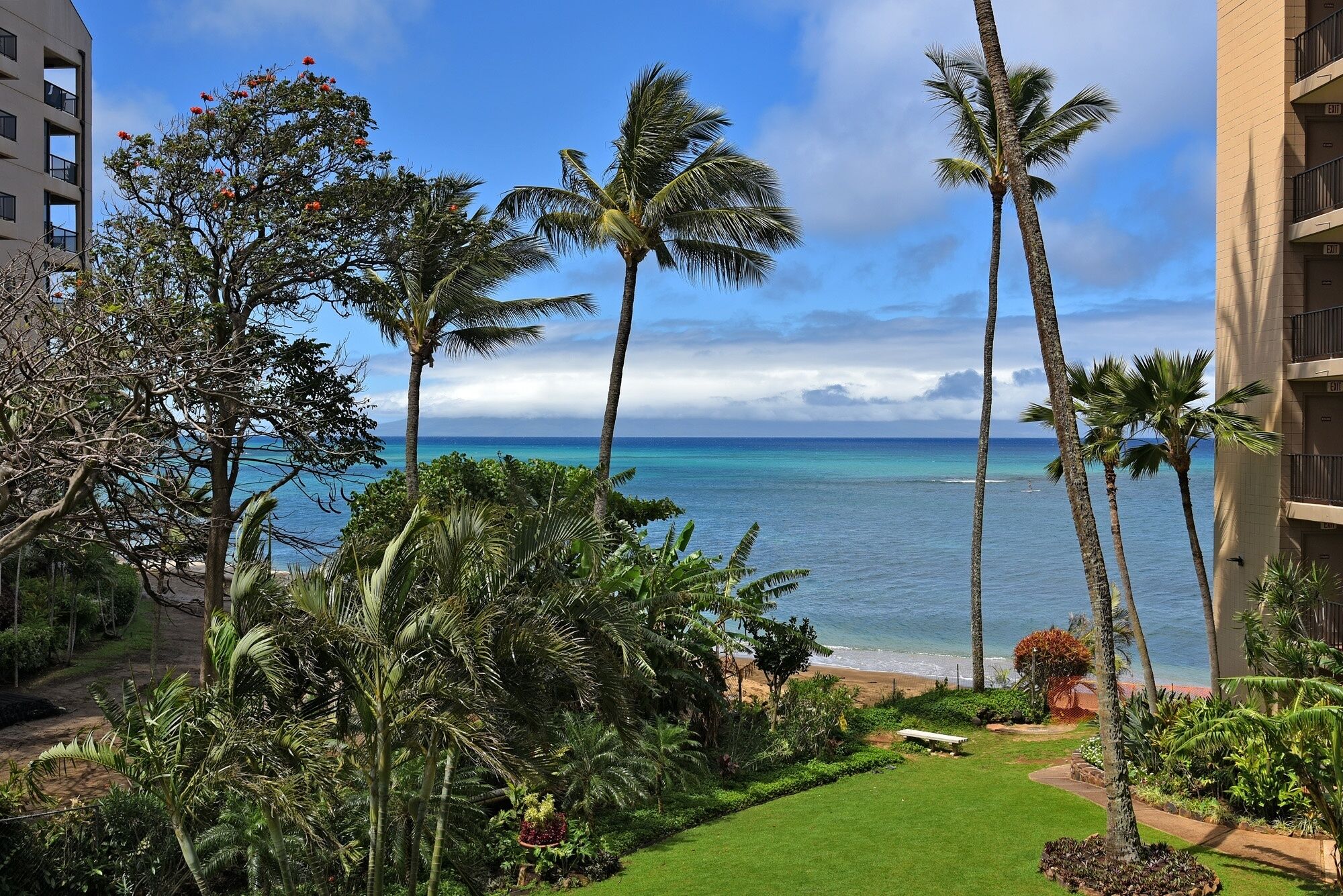 Kondominium, 1 kamar tidur | Pantai | Di pantai