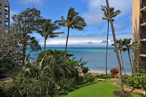 شقة - غرفة نوم واحدة | شاطئ | على الشاطئ