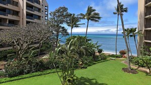 A hotel with a view of the ocean, palm trees, and a well-maintained lawn. - Valley Isle 302 by RedAwning (Lahaina)