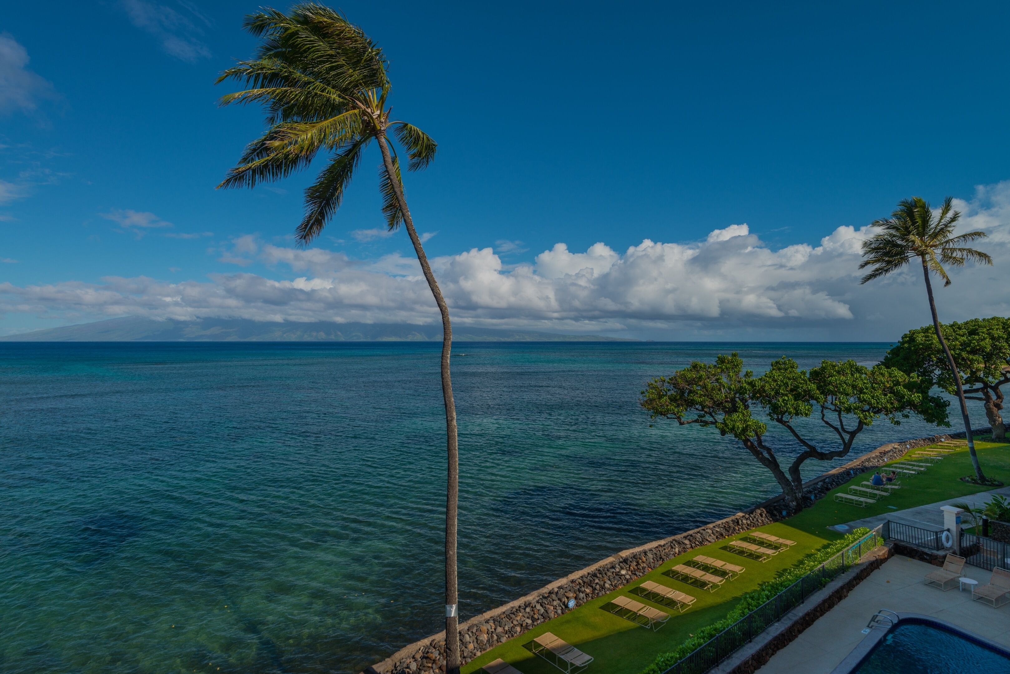 Vista costera con cielo despejado, una palmera y zona de piscina.