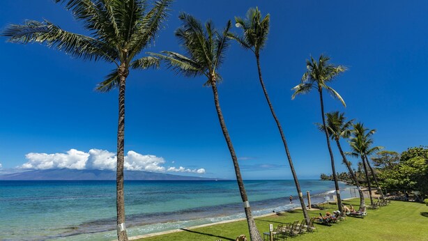 A beach with palm trees, clear blue sky, and ocean view. - Paki Maui #109 1 Bedroom Condo by RedAwning (Lahaina)