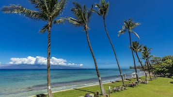 Condo, 1 chambre | Plage | Sur la plage