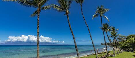 Condo, 1 habitación | Playa | En la playa