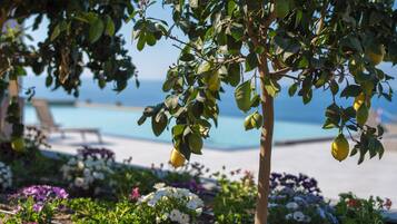 Un jardín con diversas flores y un limonero, una piscina y una playa al fondo.