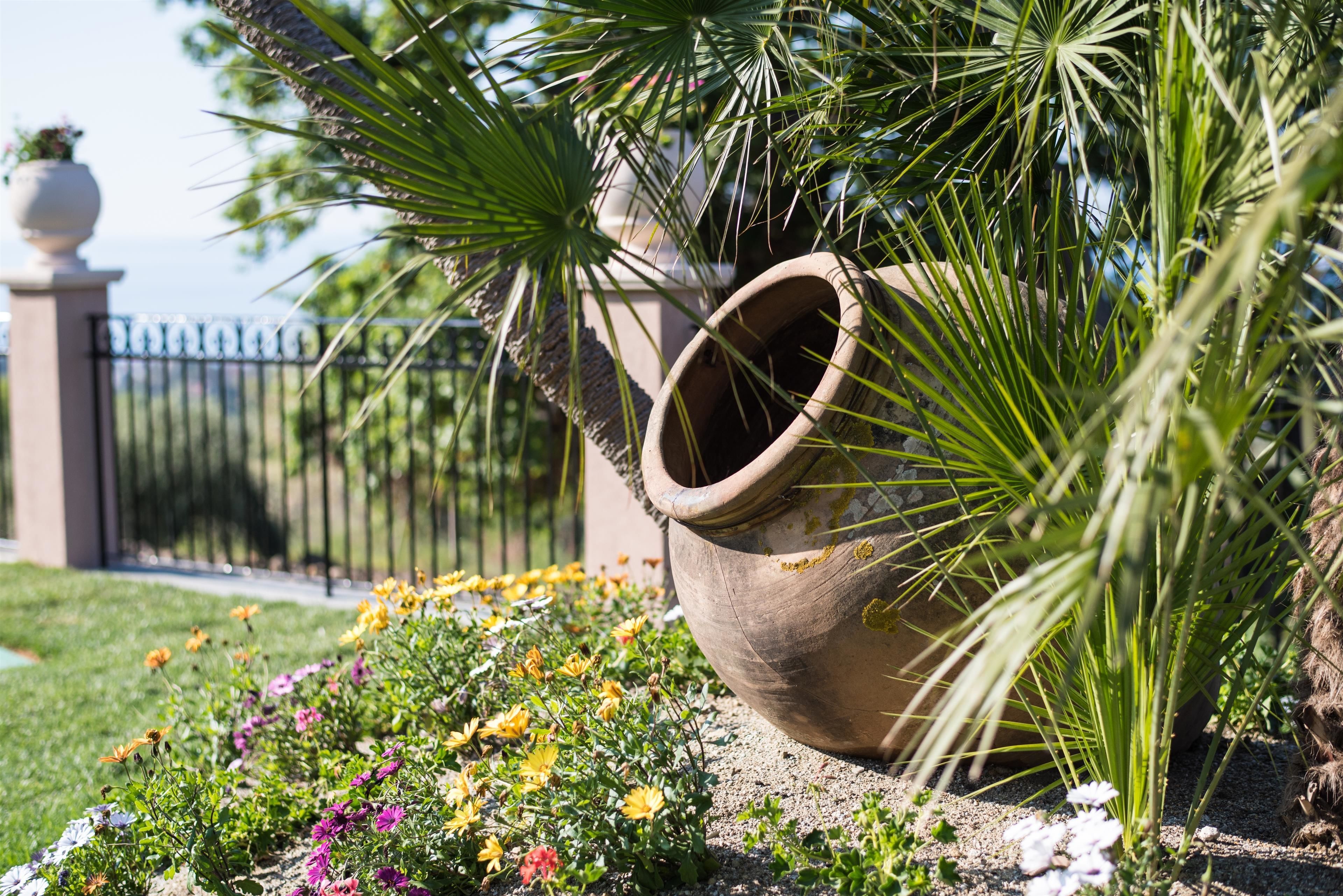 Un grand pot en terre cuite, entouré d’une variété de fleurs aux couleurs vives et d’un palmier.