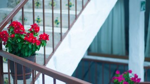 A staircase with a railing, a potted plant with red flowers, and a white wall with a green sign.