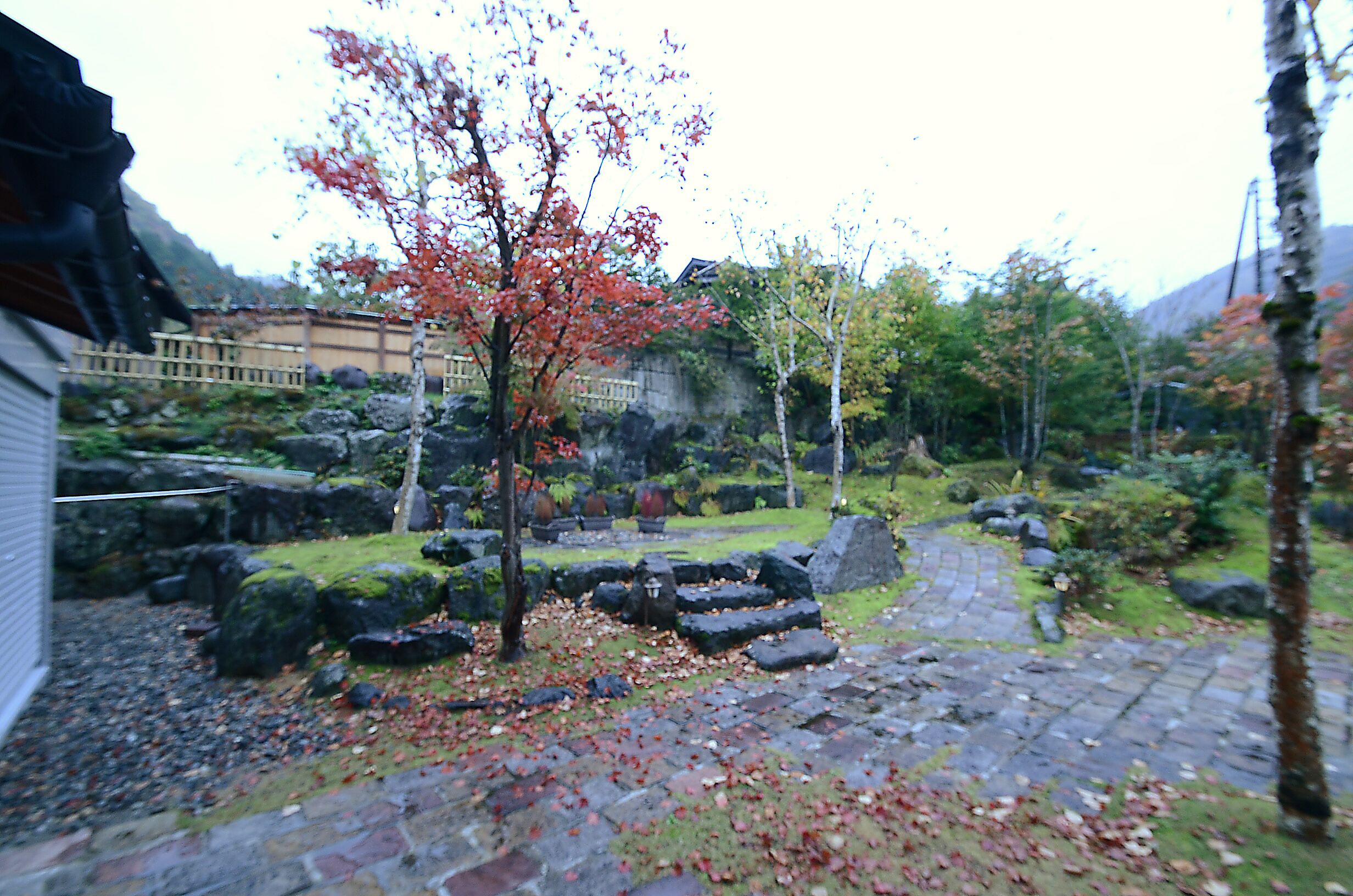 Jardim
