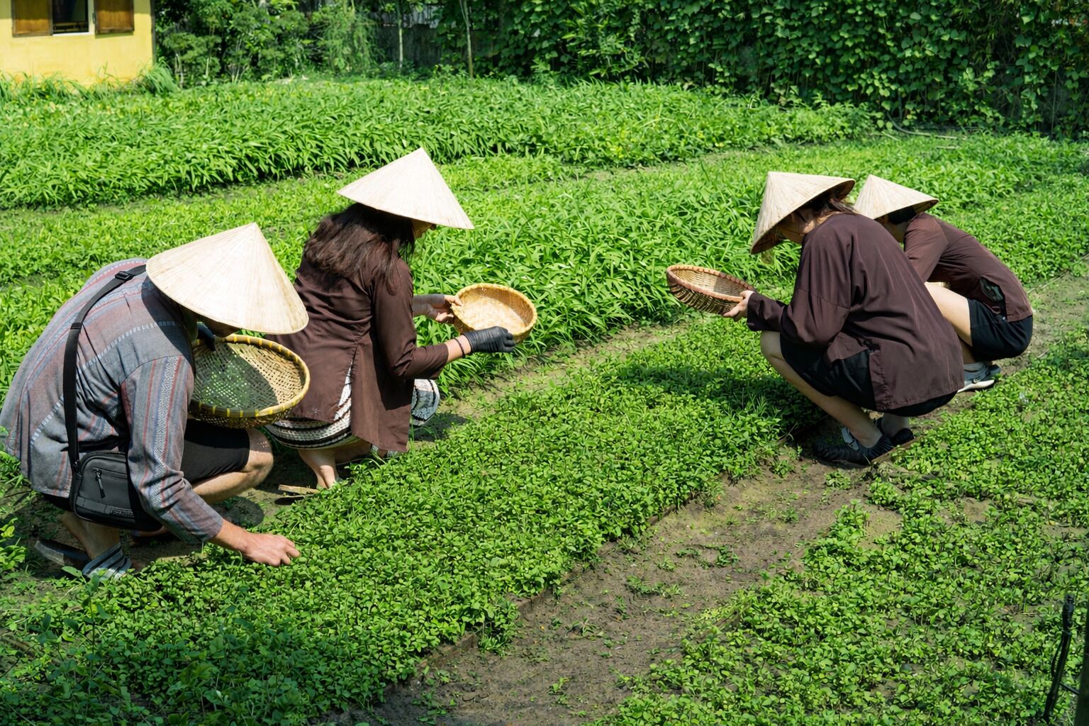 Photo - Happy Life Memories Hoi An Hotel and Spa Boutique Hotel