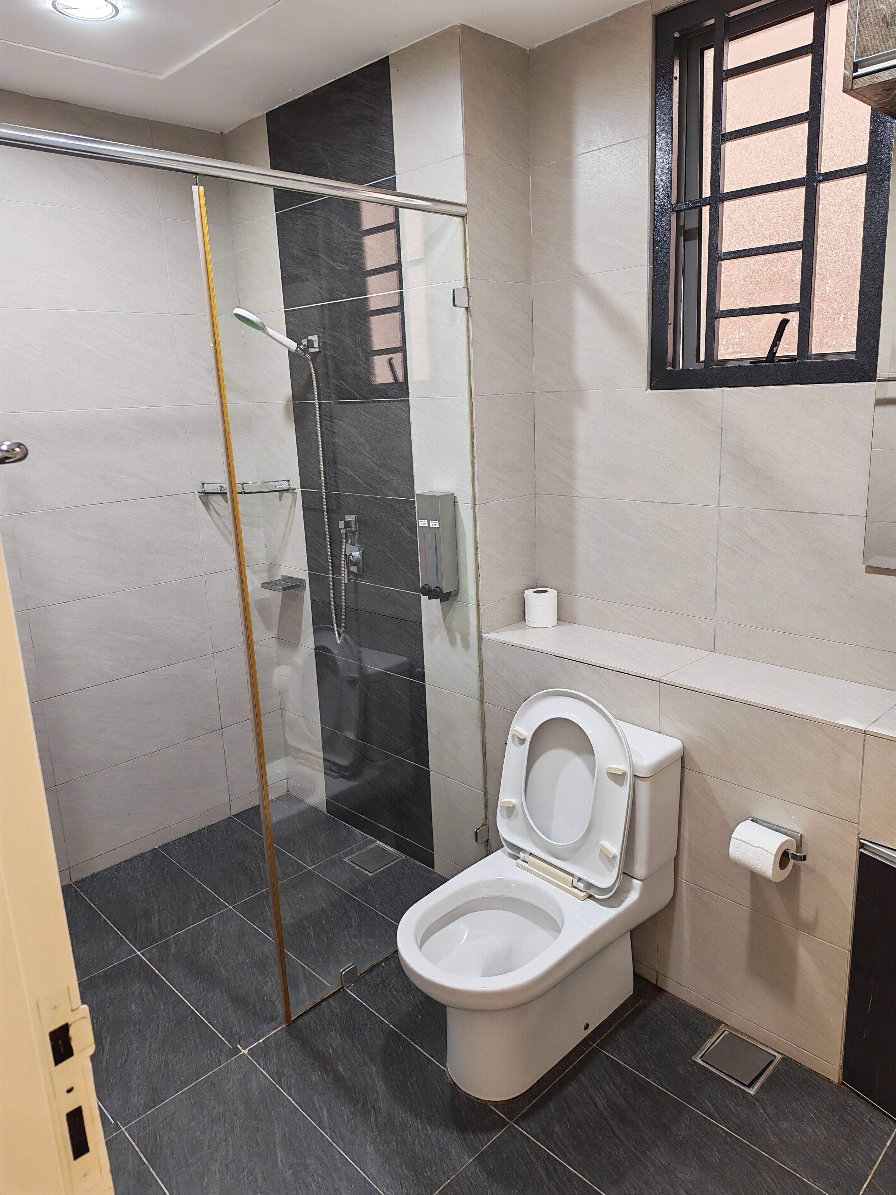 Un bagno con doccia vetrata, un water e un lavandino.