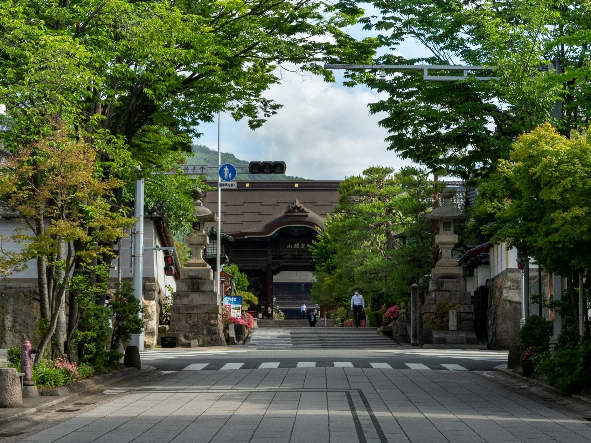 Un torii tradicional japonés con un paso de peatones al frente.