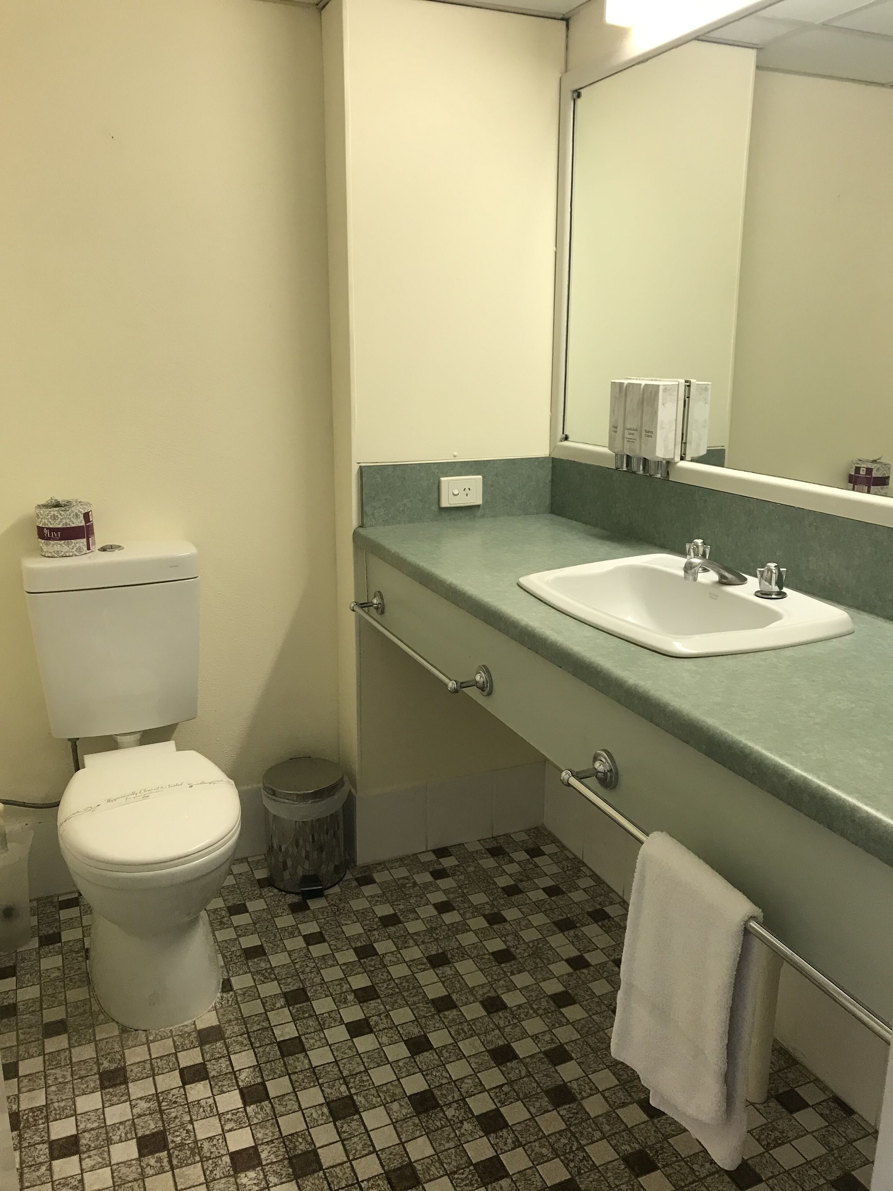 A bathroom with a toilet, sink, and mirror.