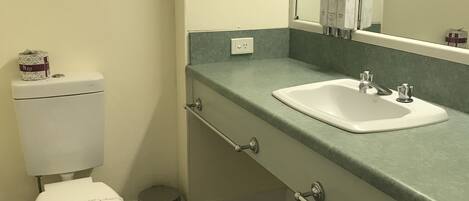 A bathroom with a toilet, sink, and mirror.