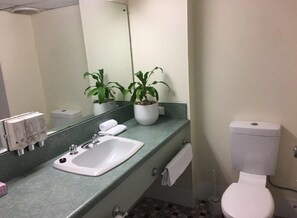 Shower, free toiletries, towels