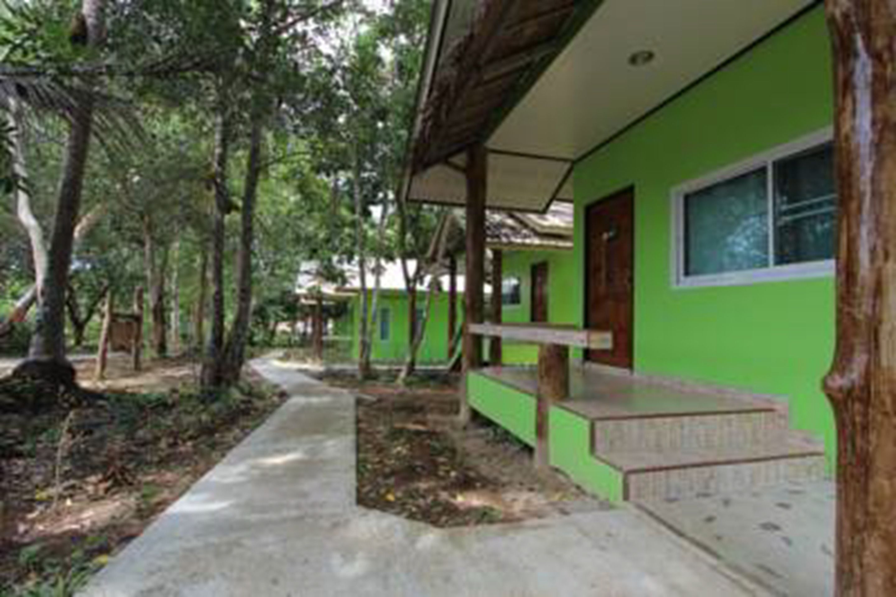 A green building with a concrete pathway leading to a wooden door.