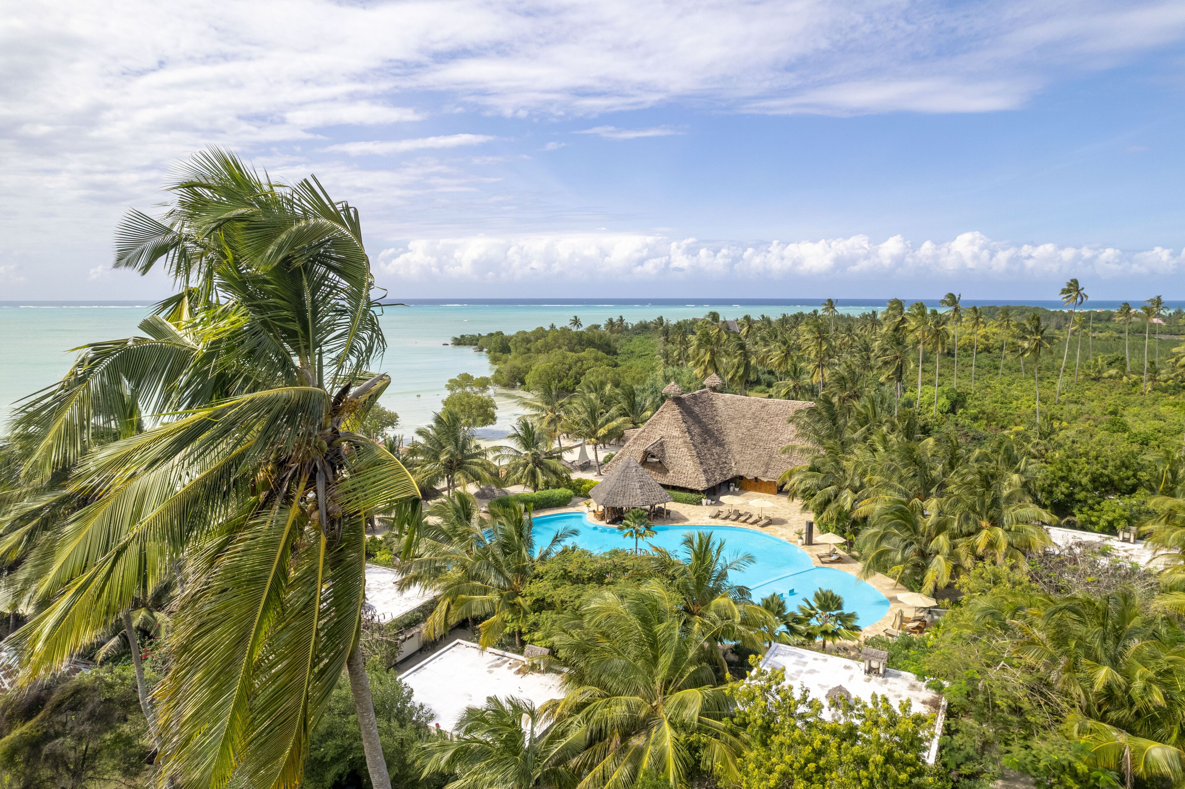 A tropical resort with a swimming pool, palm trees, and a view of the ocean.