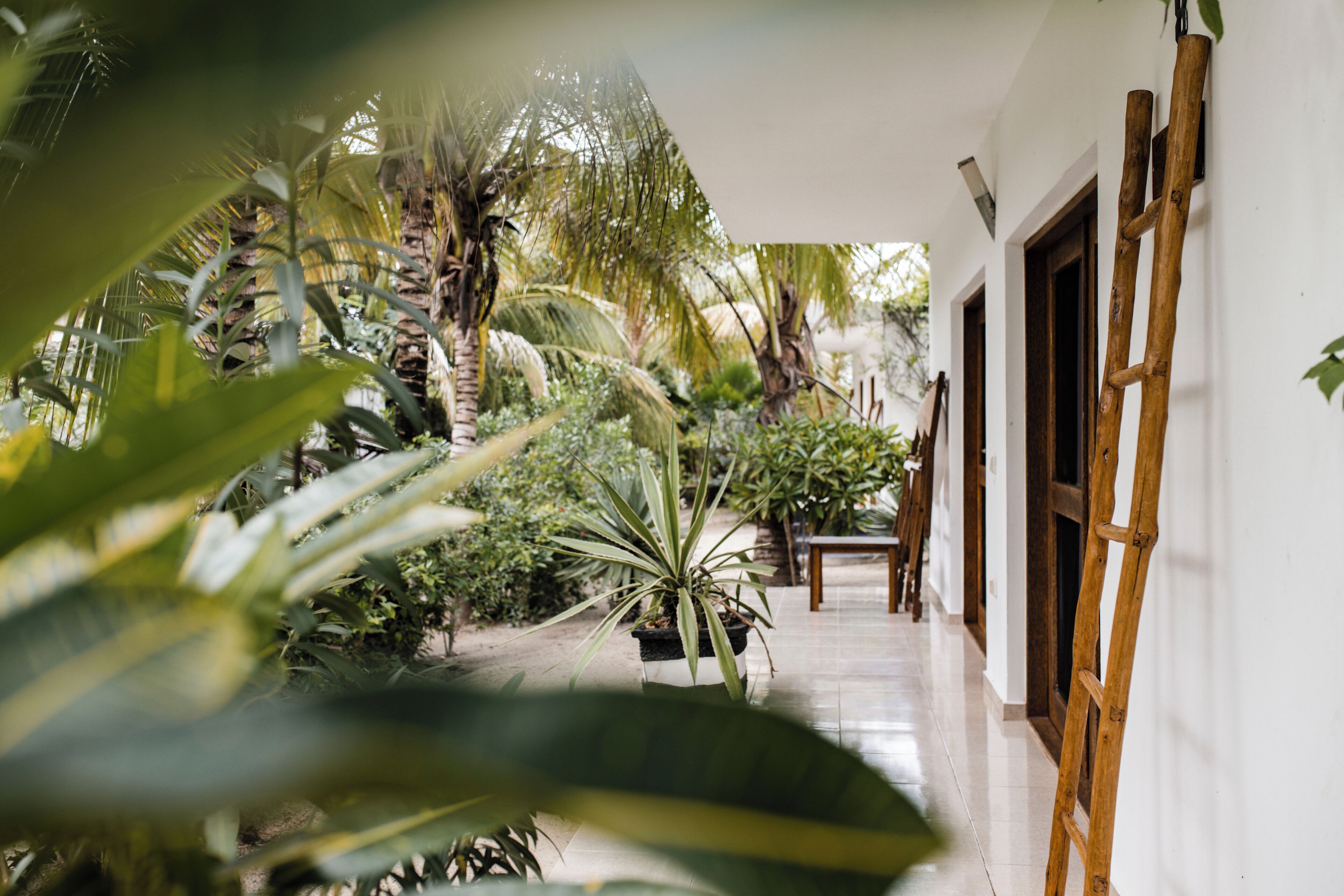 Un pasillo con plantas en macetas, muebles de madera y paredes blancas.