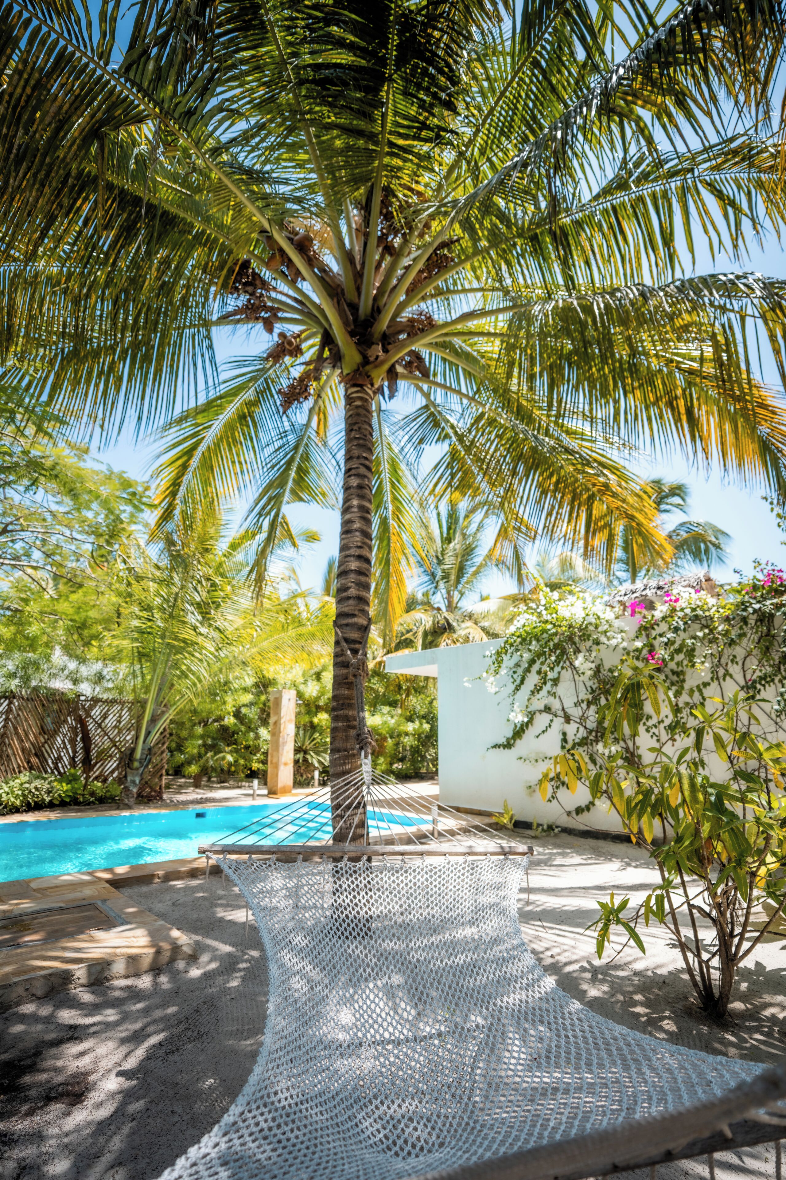 Una hamaca atada entre dos árboles en un jardín con piscina y un muro blanco al fondo.