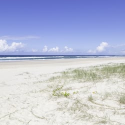 On the beach