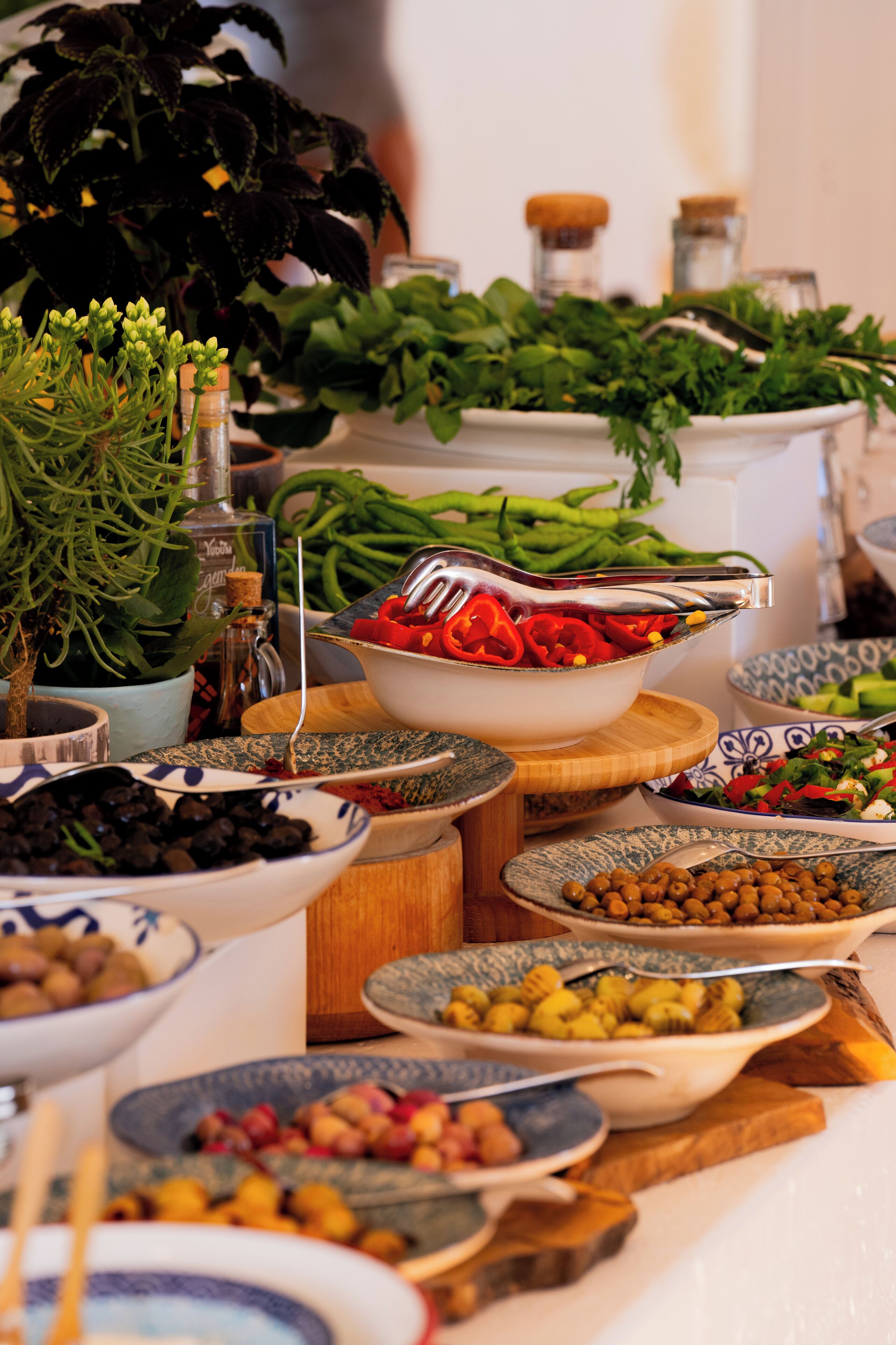 A buffet table with various dishes and a potted plant.