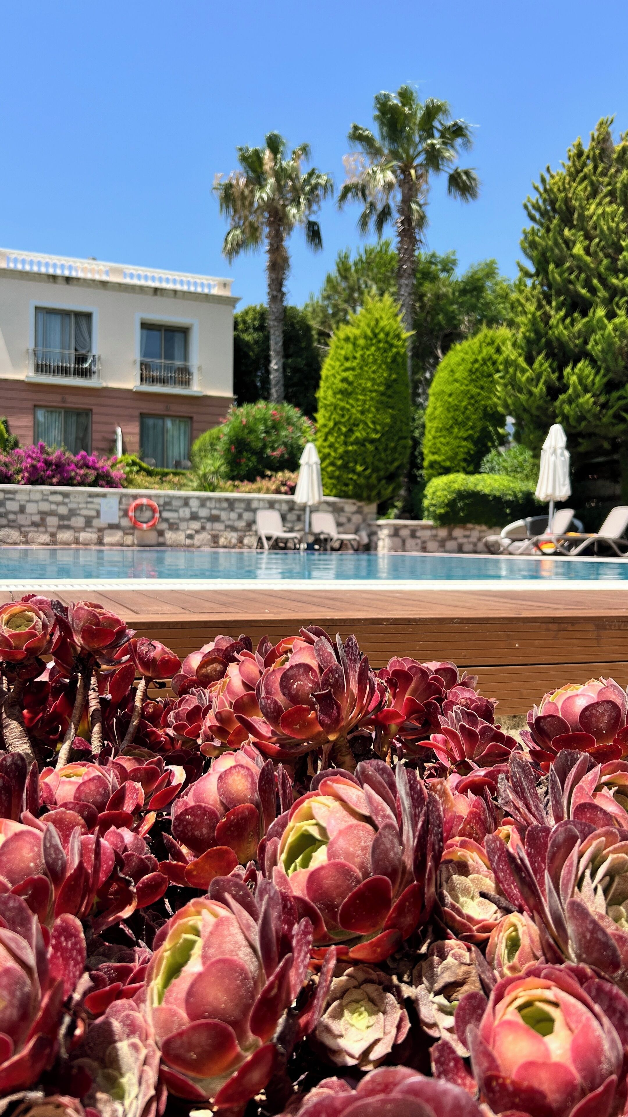 A pool area with a wooden deck, a building with balconies, and palm trees in the background.