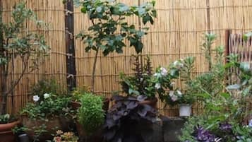 Jardim