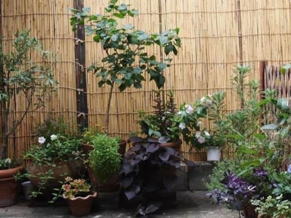 Garden - Guesthouse Usagi-Momiji - Hostel (Kyoto)