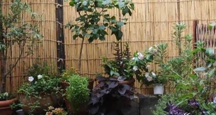 Guesthouse Usagi-Momiji - Hostel