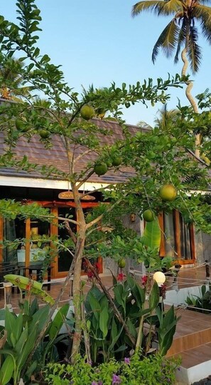 A house with a tiled roof, surrounded by lush greenery and a small tree bearing green fruits. - Ruean Thai Nai Bang by Pansak Resort (Surat Thani)