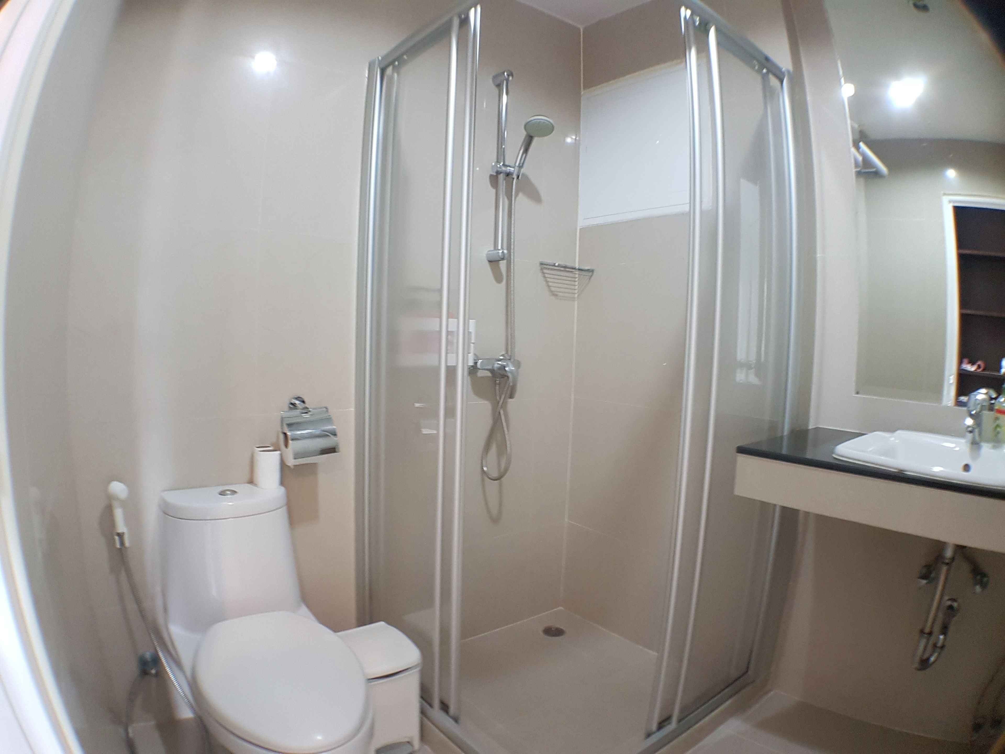A modern bathroom with a glass-enclosed shower, a white toilet, and a sink with a mirror above it.