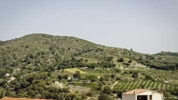 Un paysage rural avec des champs en terrasses, un petit bâtiment doté d’un toit en tuiles et des maisons éparpillées sur le flanc d’une colline.