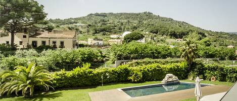 A swimming pool surrounded by a well-maintained lawn and a variety of trees and shrubs.