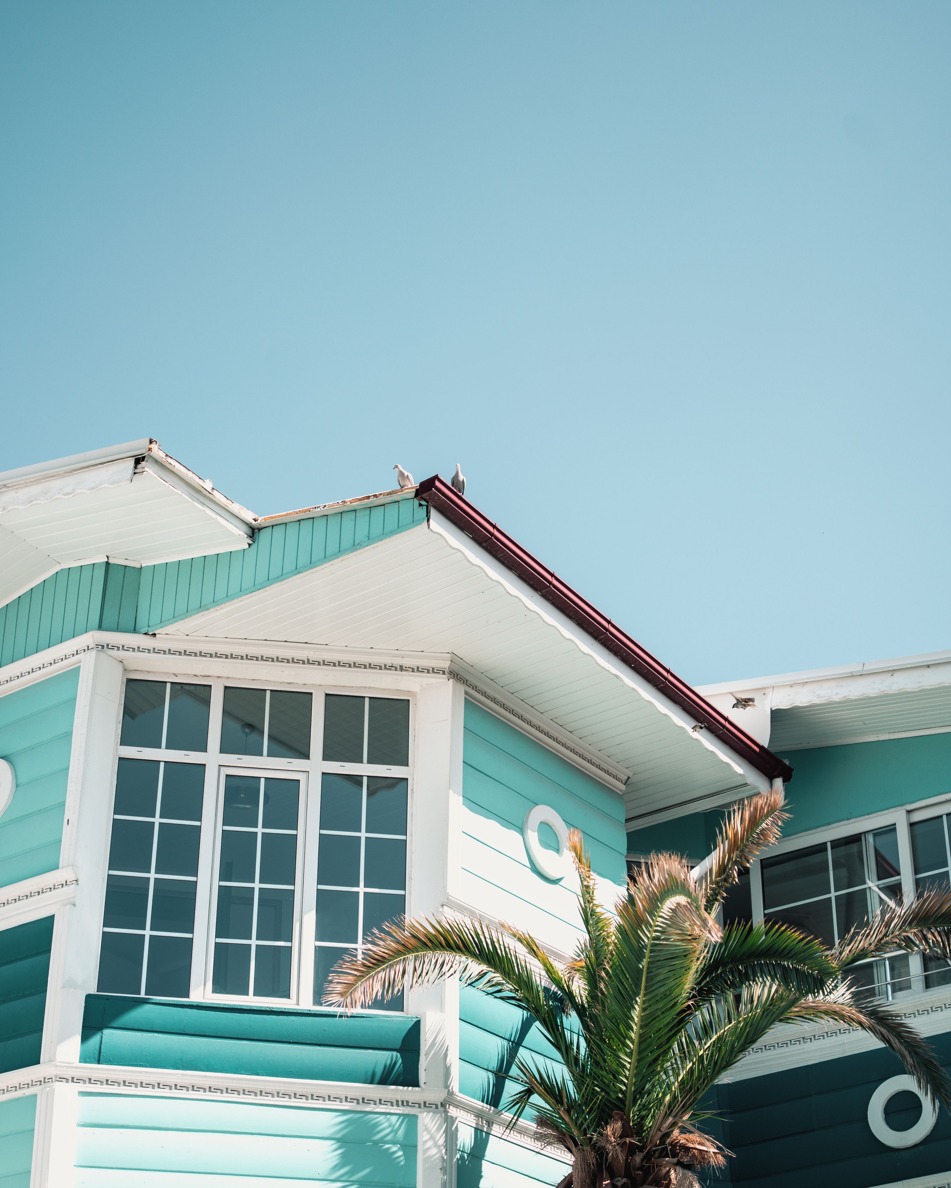 A building with a distinctive turquoise facade, large windows, and a visible palm tree.