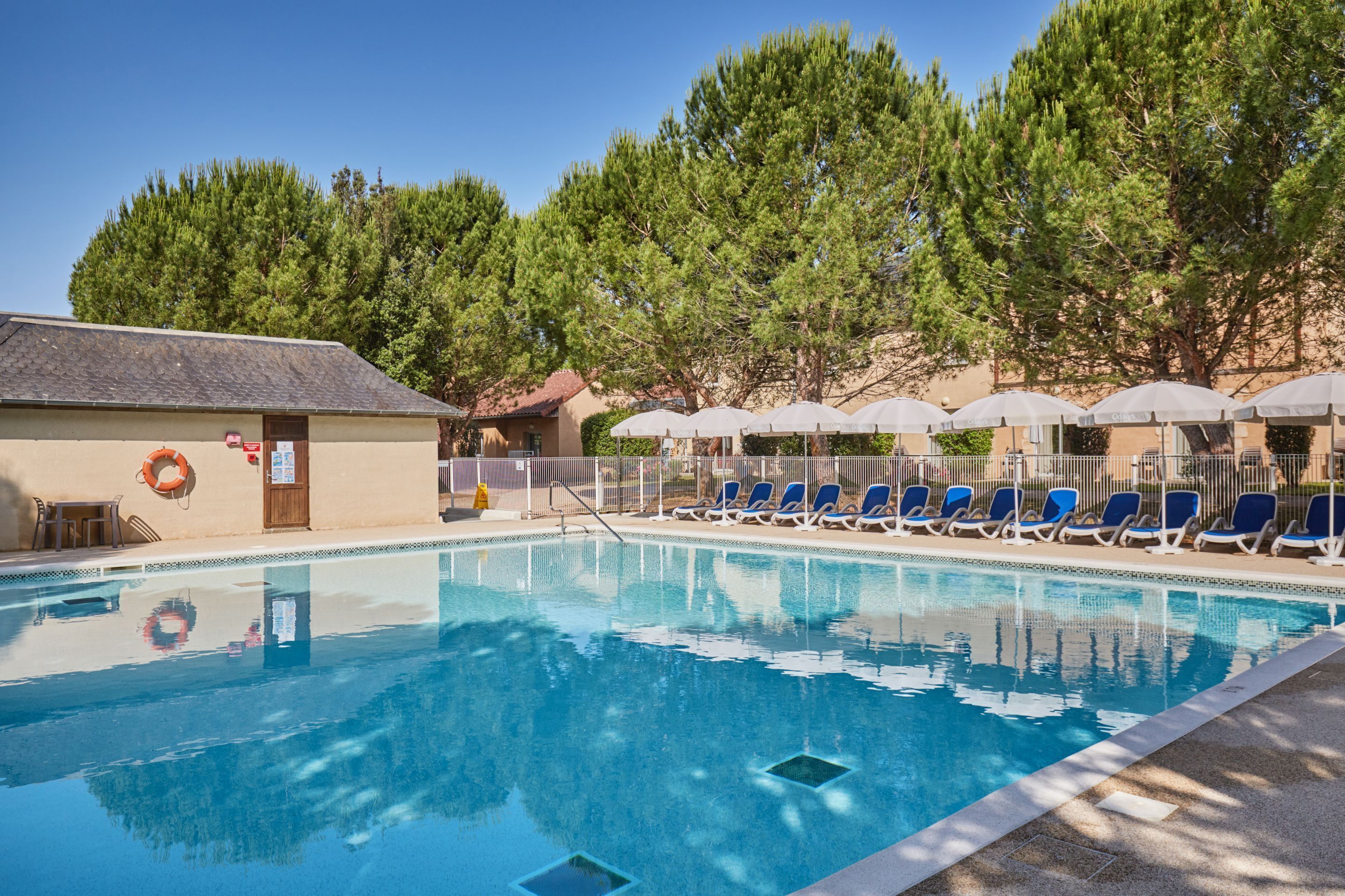 A swimming pool with lounge chairs and umbrellas, surrounded by trees.