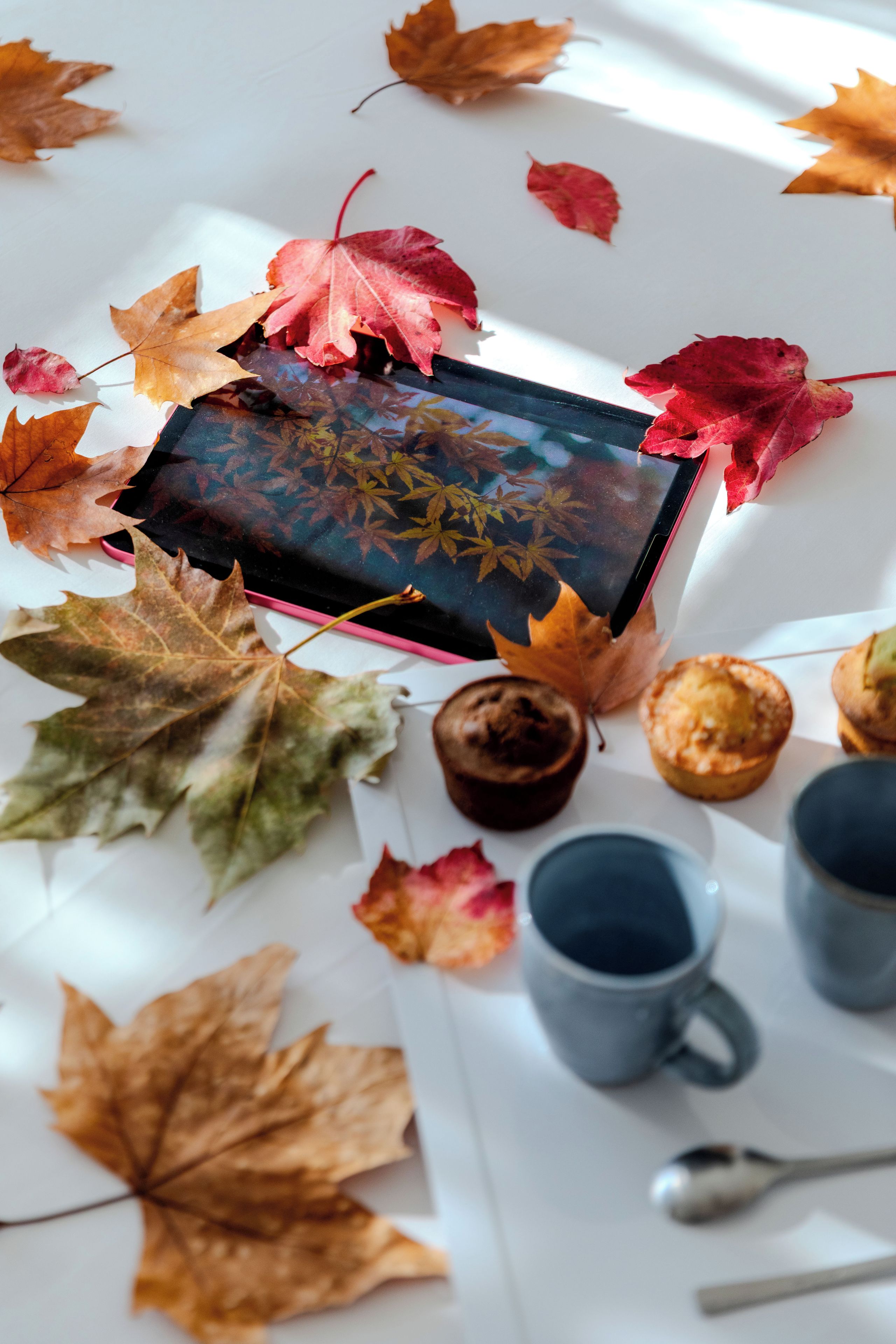 Ein Tisch mit einem Tablet, das eine Naturansicht zeigt, umgeben von Herbstlaub und einigen Gebäckstücken.