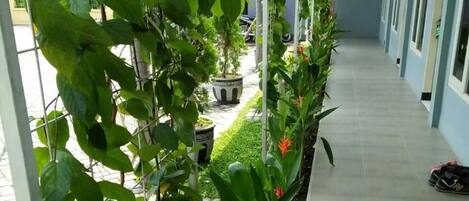 A corridor with potted plants and a shoe on the floor.