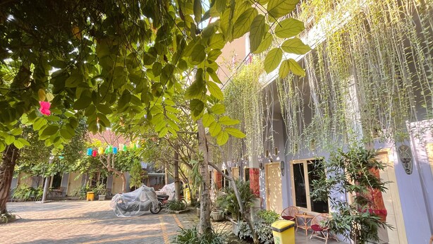 An outdoor courtyard with a paved walkway, potted plants, a covered motorcycle, and a building with a traditional facade. - Clover Homestay (Probolinggo)