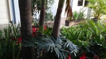 A tropical garden with palm trees, red flowers, and a white building with windows.