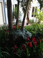 Un jardín tropical con palmeras, flores rojas y un edificio blanco con ventanas.
