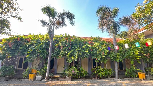 A courtyard with a paved area, palm trees, and a building with a tiled roof.