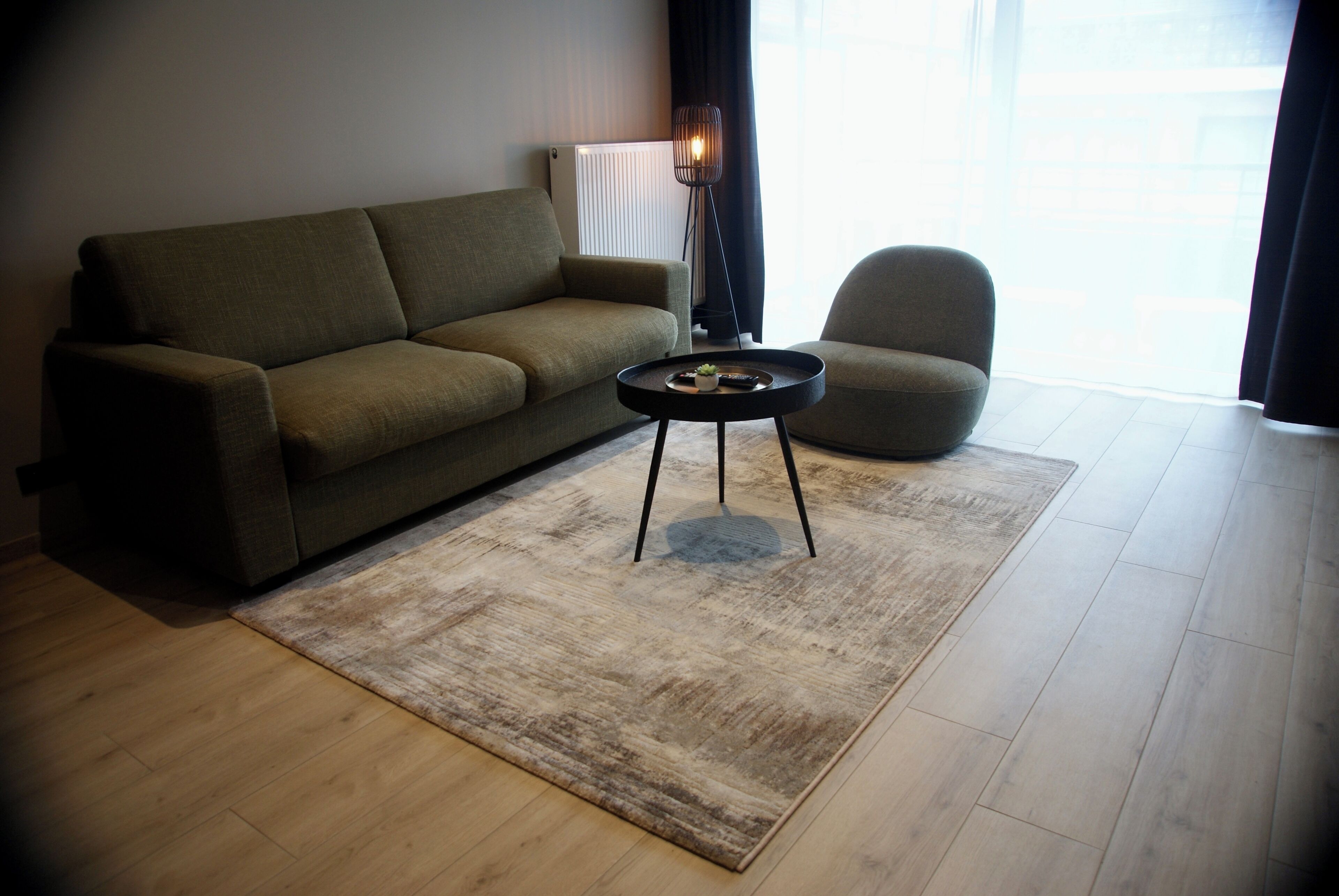 apartment (4) | living area | flat-screen tv