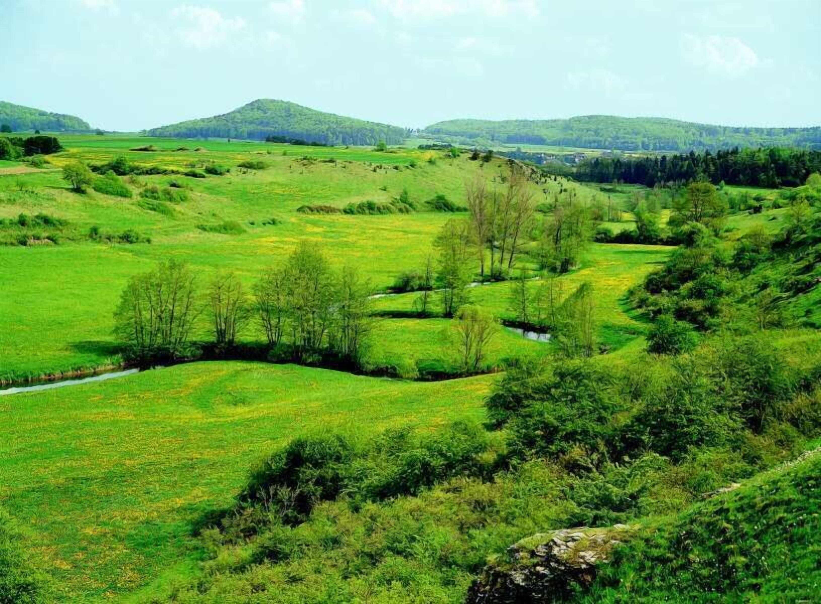 Un paysage verdoyant et luxuriant, avec des collines douces et un petit ruisseau.