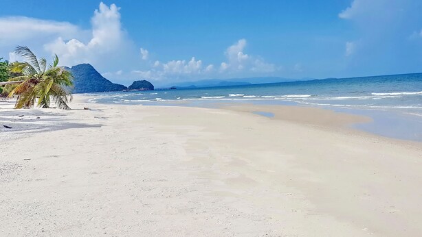 Une plage de sable blanc, bordée de palmiers, sous un ciel bleu azur.