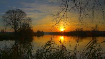 Un coucher de soleil sur un lac paisible, avec des arbres et des roseaux au premier plan.