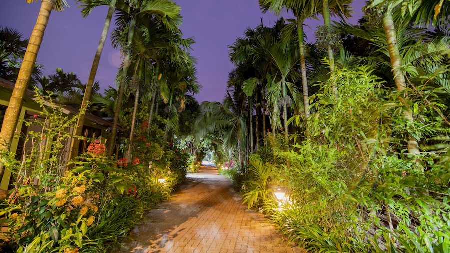 Silvanus Forest Retreat