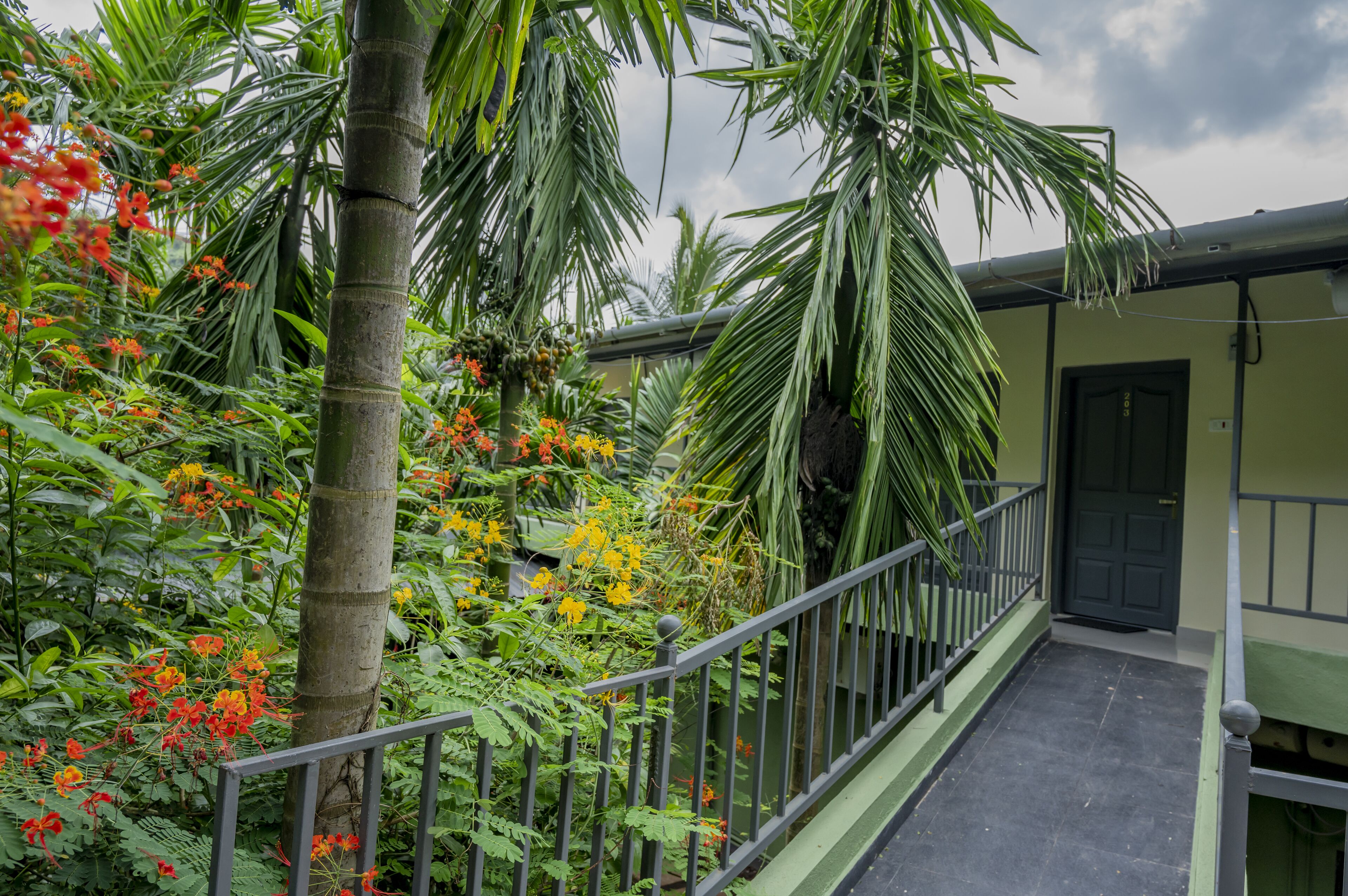 A balcony with a metal railing, surrounded by lush greenery and flowering plants.