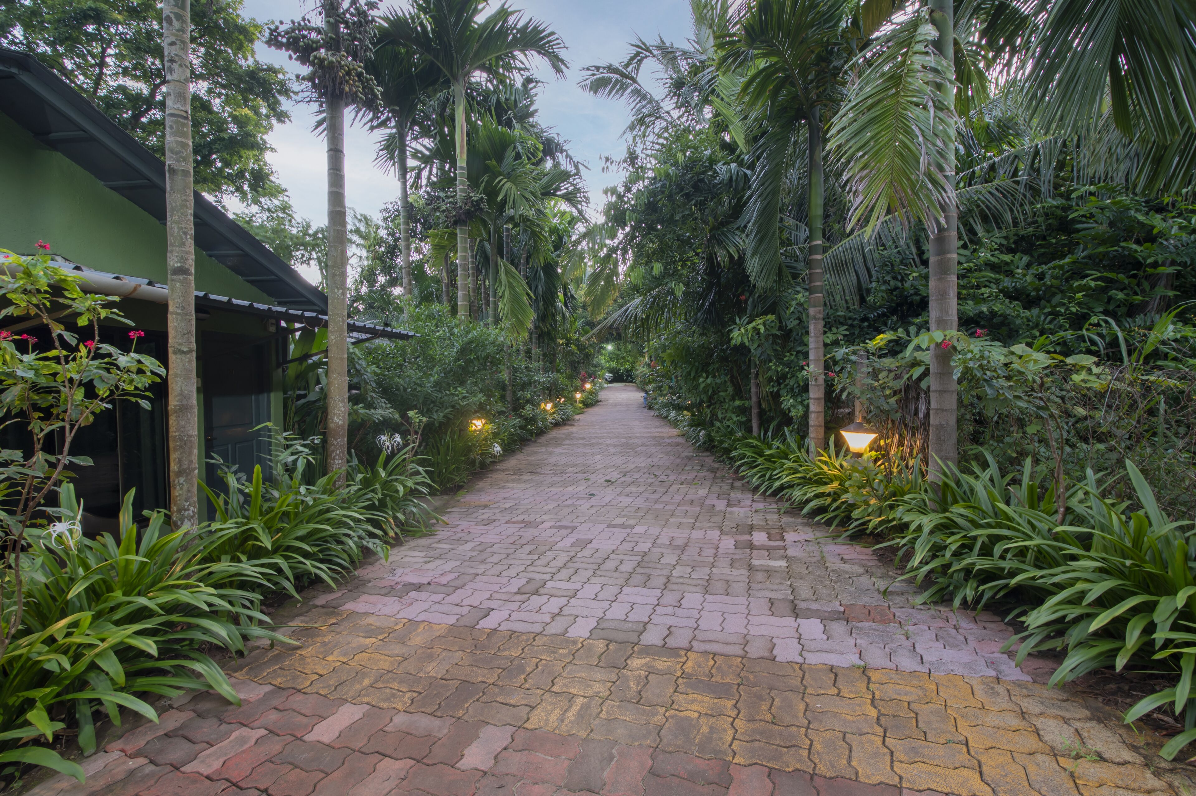 Un chemin pavé, bordé d’une végétation luxuriante et de palmiers, mène à un bâtiment à la façade verdoyante.