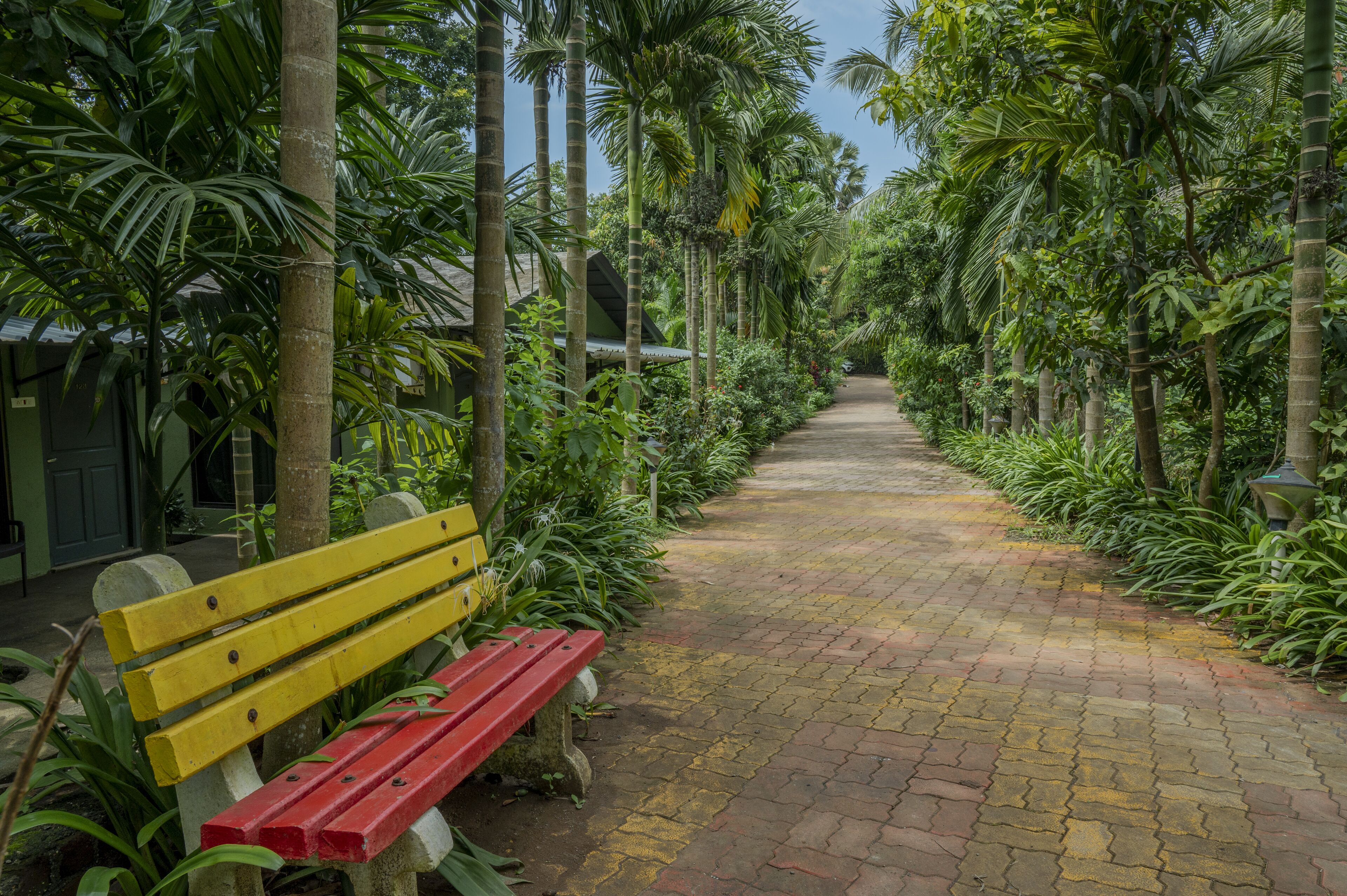 A pathway lined with benches and lush greenery, leading to a building with a green roof.