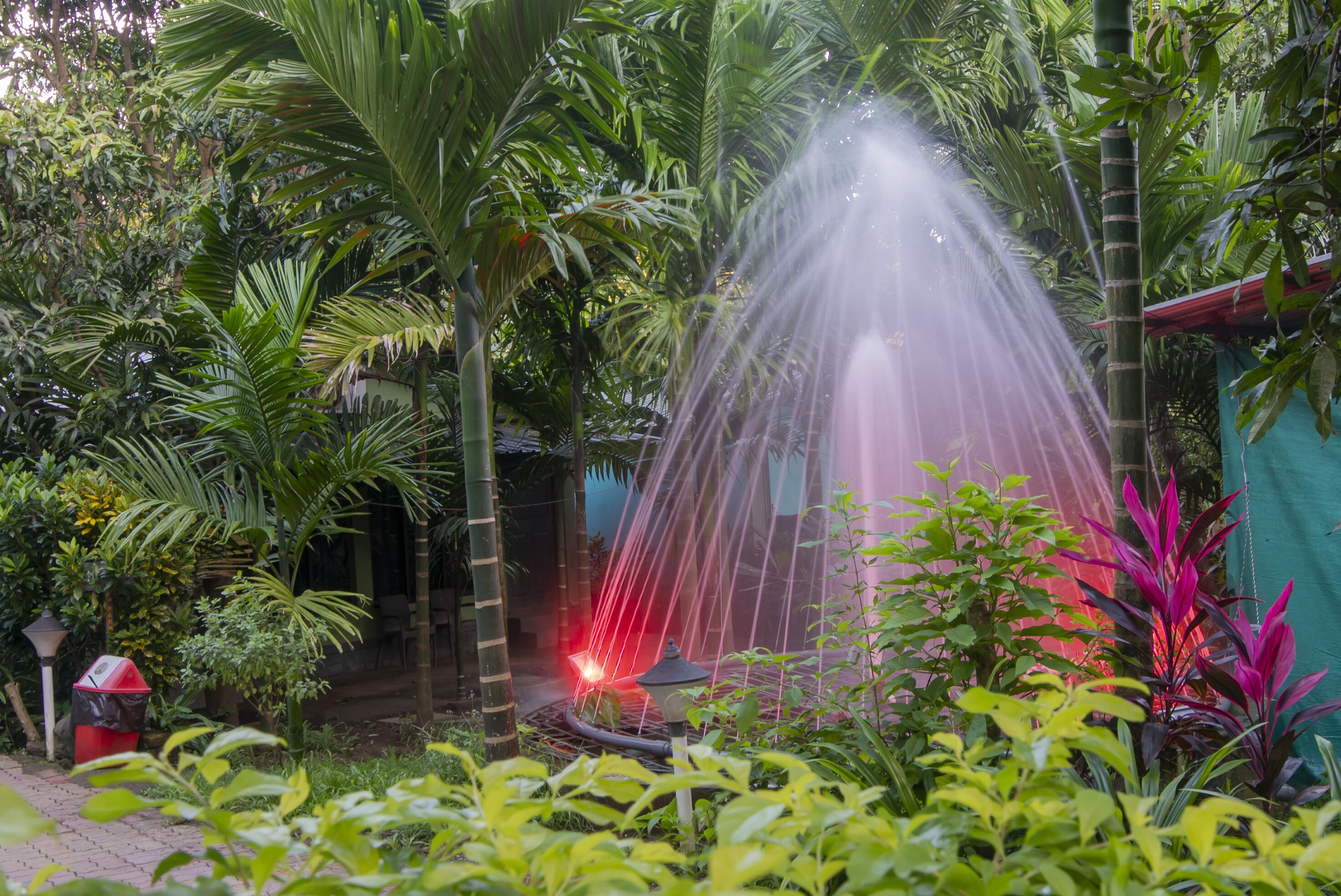A garden with a water fountain, surrounded by various tropical plants and a paved walkway.