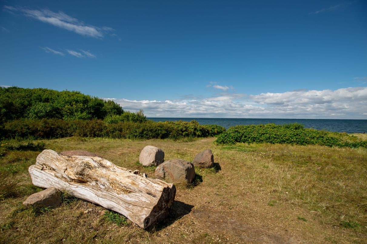 A natural landscape with a large log, rocks, and a grassy area leading to a body of water.